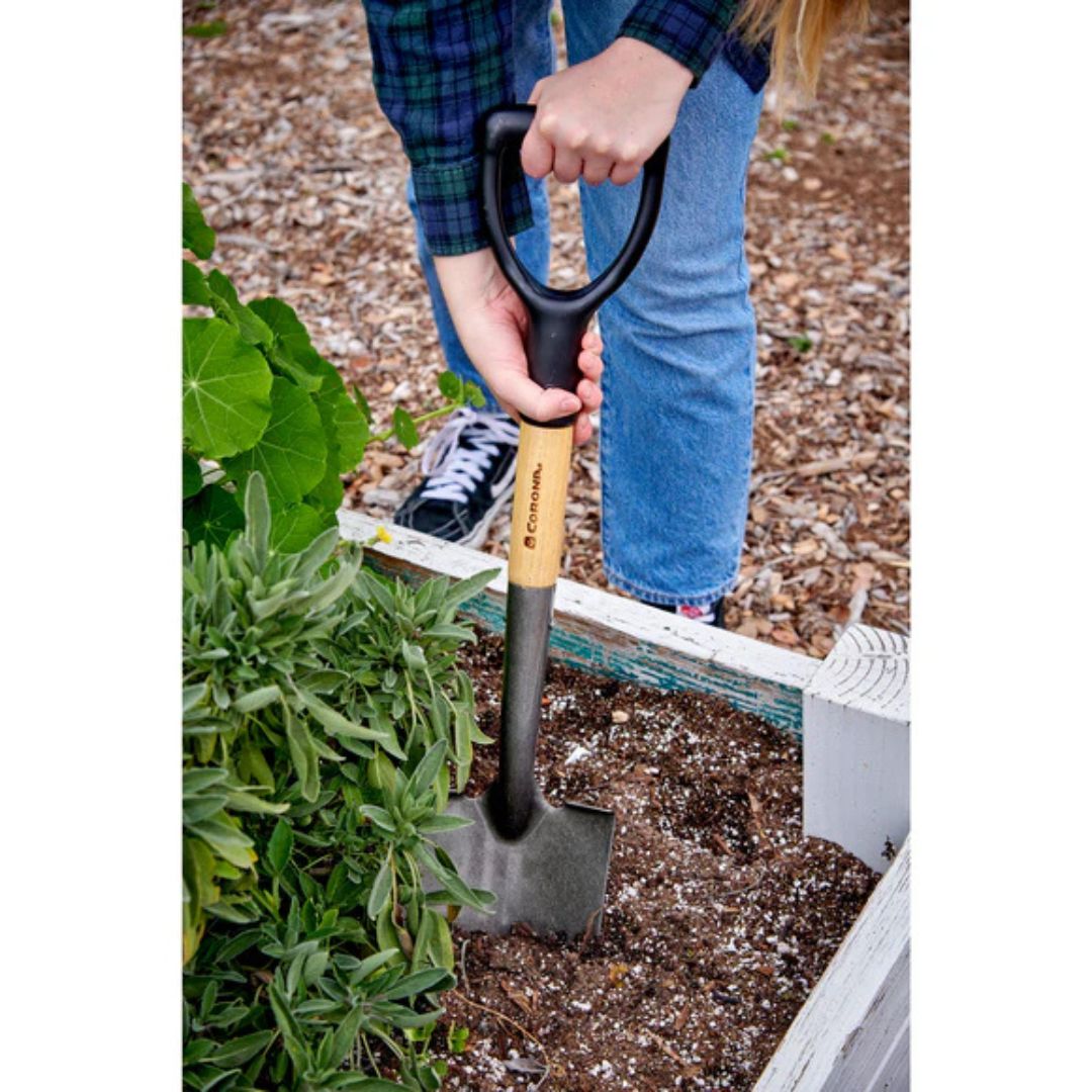 Mini Shovel – Corona – 26.75″